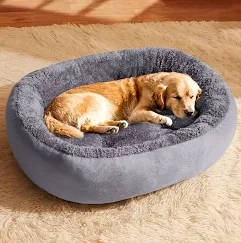 02 cama perro