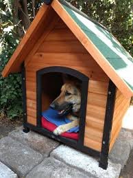 04 casa perro
